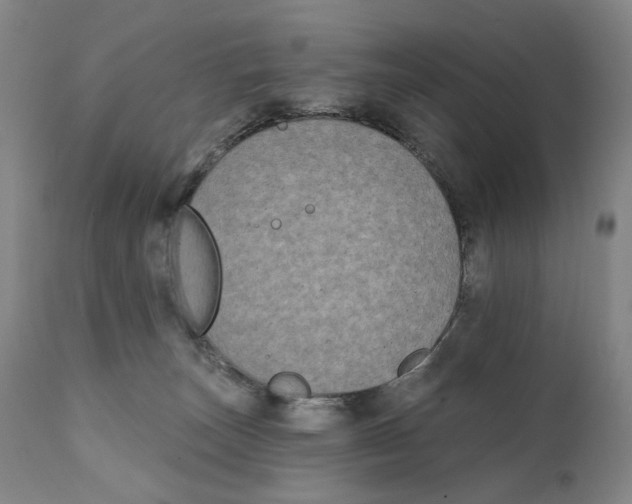 X0000111220179200907231449