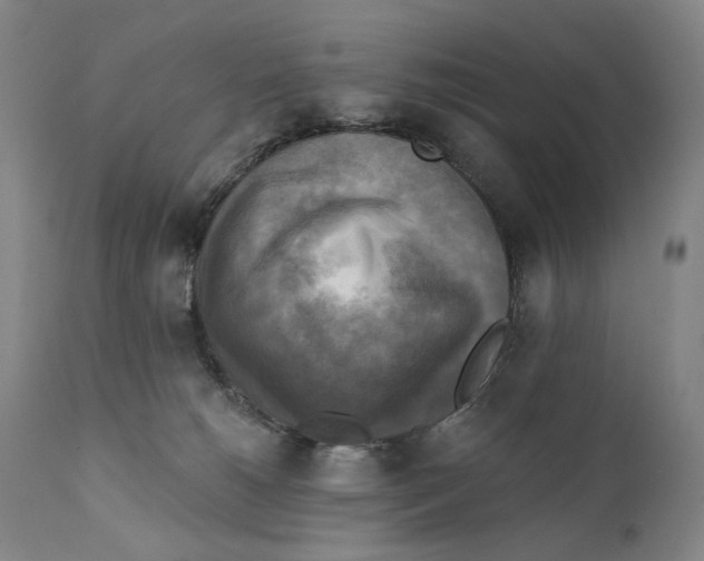 X0000111220180200907231449