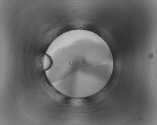 X0000111220181200907231449