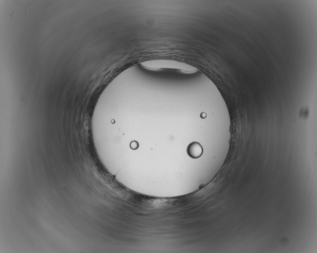 X0000111220184200907231449