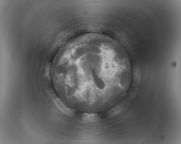 X0000111220185200907231449