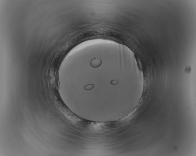 X0000111220186200907231449