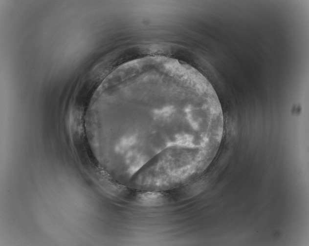 X0000111220189200907231449