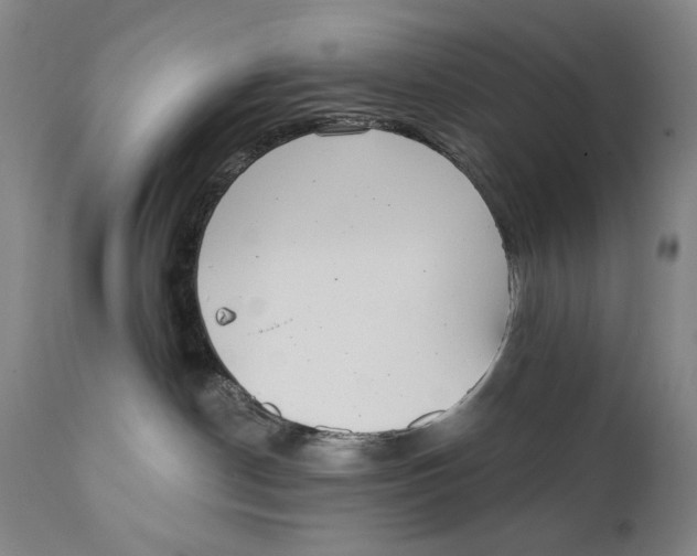 X0000111220190200907231449