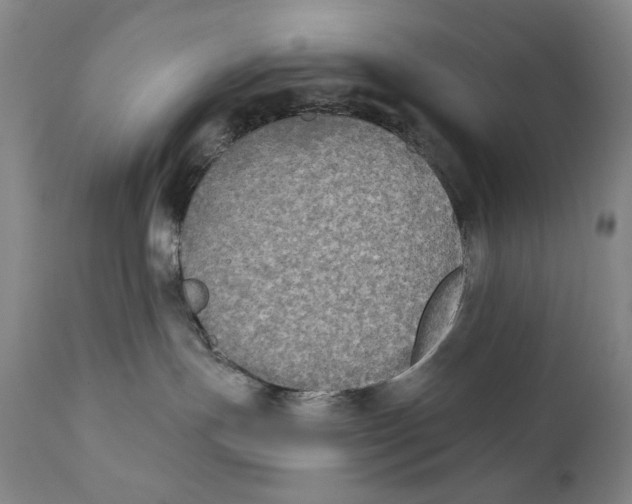 X0000111220191200907231449