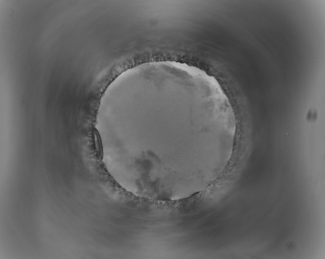 X0000111220192200907231449