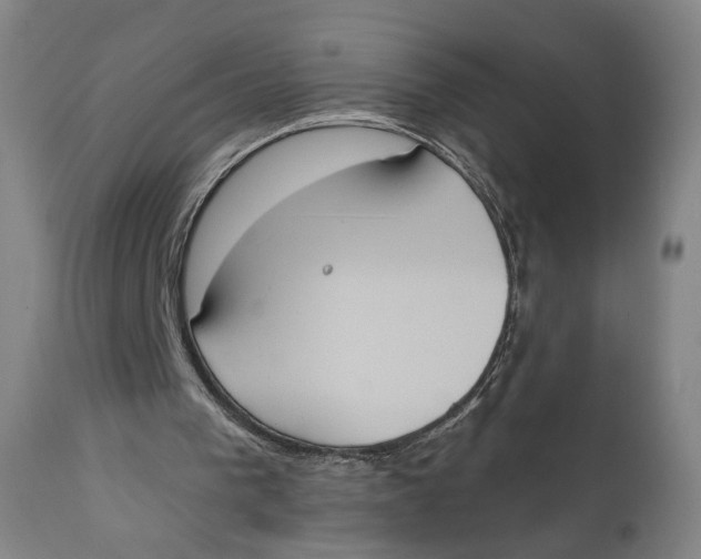 X0000111220193200907231449