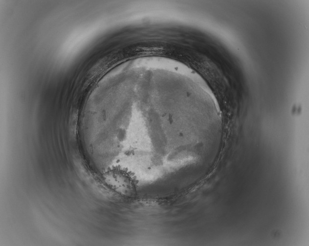 X0000111220194200907231449