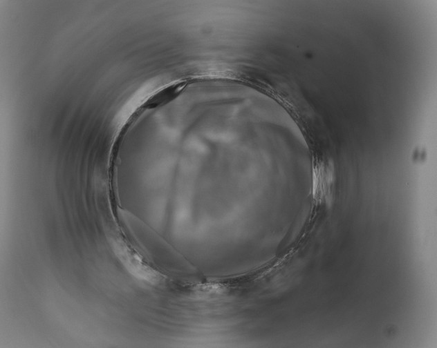 X0000111220195200907231449
