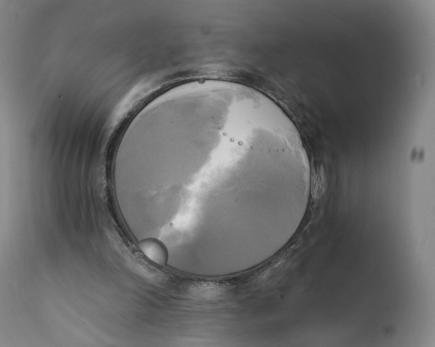X0000111220198200907231448