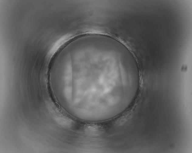 X0000111220199200907231448