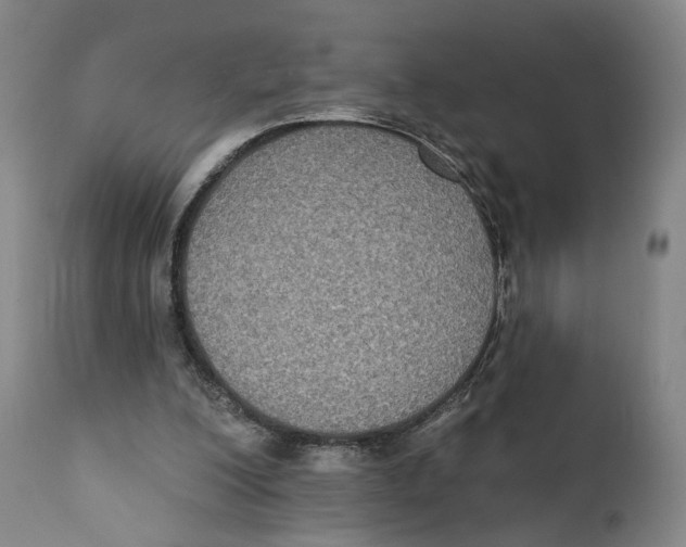 X0000111220200200907231448