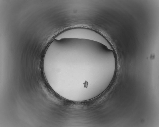 X0000111220201200907231448