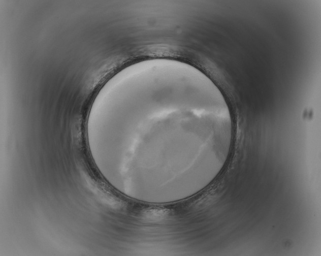 X0000111220202200907231448