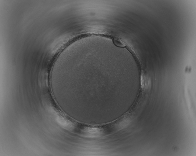 X0000111220205200907231448