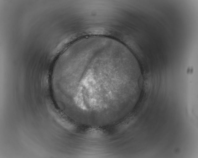 X0000111220207200907231448