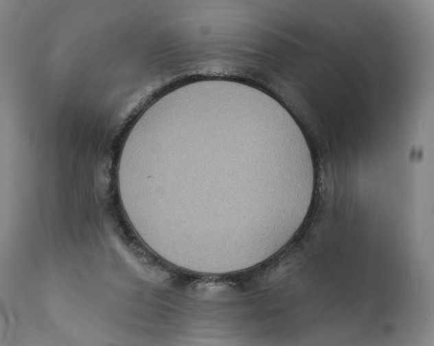X0000111220208200907231448