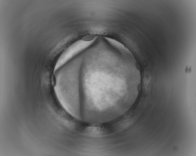 X0000111220211200907231448