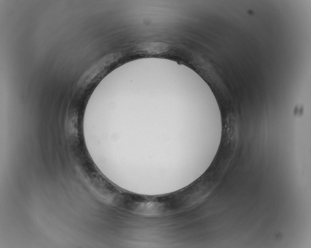 X0000111220212200907231448