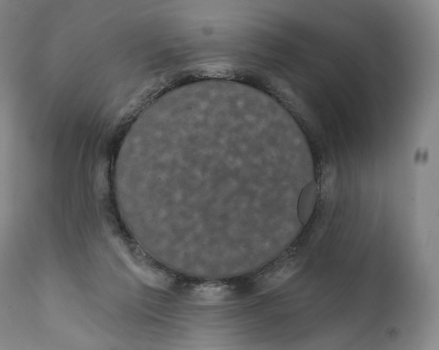 X0000111220213200907231448