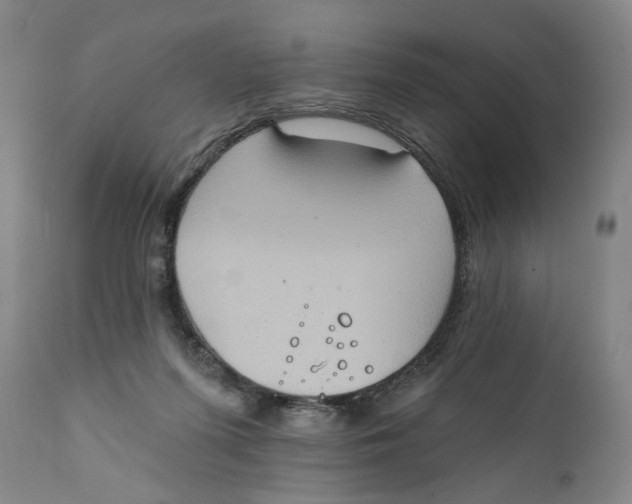 X0000111220215200907231448