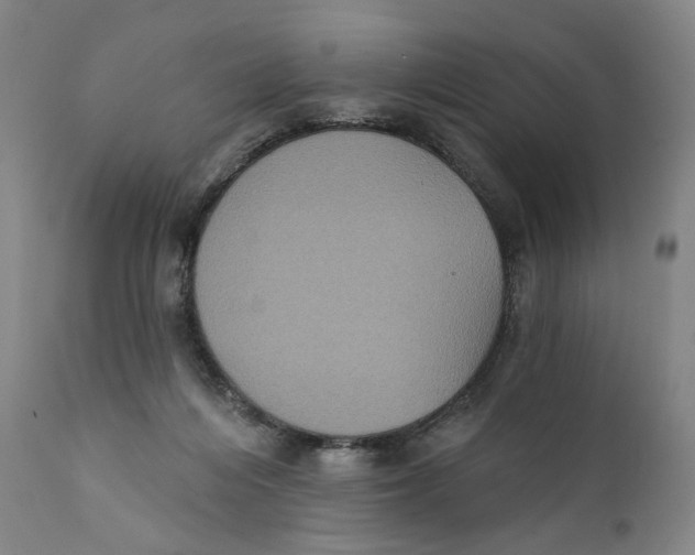 X0000111220216200907231448
