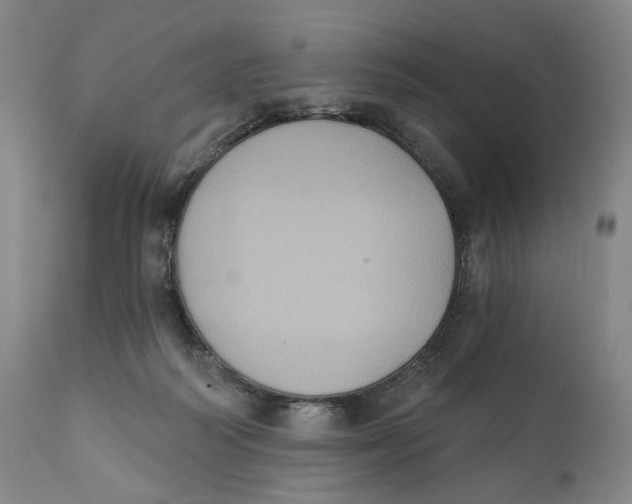 X0000111220218200907231448