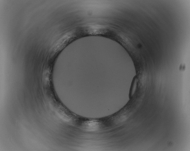 X0000111220219200907231448