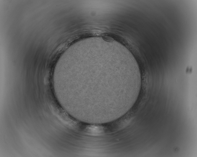 X0000111220221200907231448