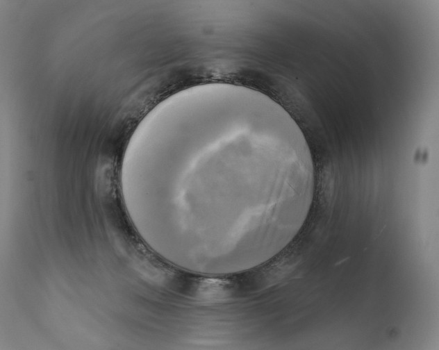 X0000111220222200907231448