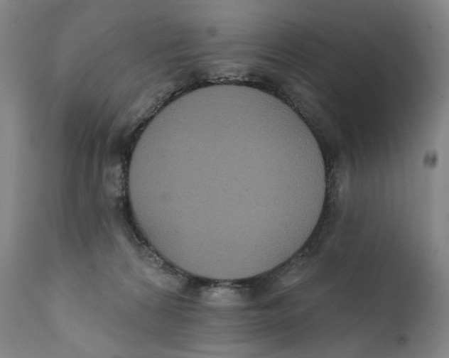 X0000111220224200907231448