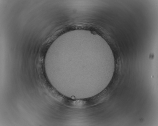 X0000111220225200907231448