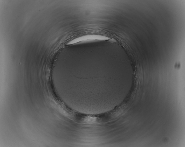 X0000111220227200907231448