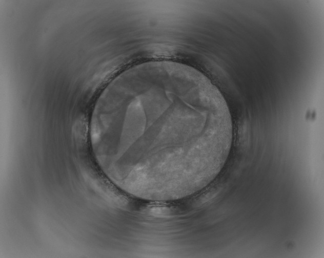 X0000111220228200907231448
