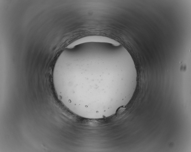 X0000111220229200907231448