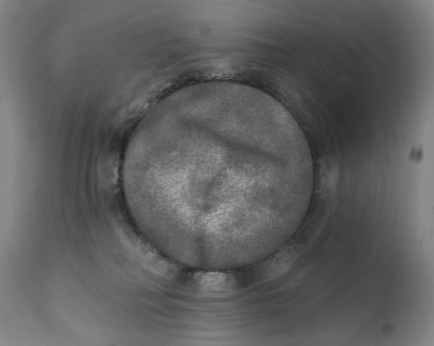 X0000111220230200907231448