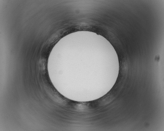 X0000111220232200907231448