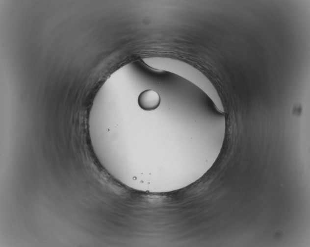 X0000111220233200907231448