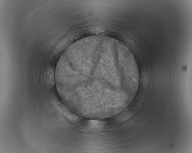 X0000111220234200907231448