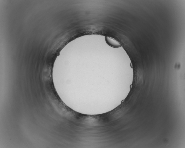 X0000111220236200907231448