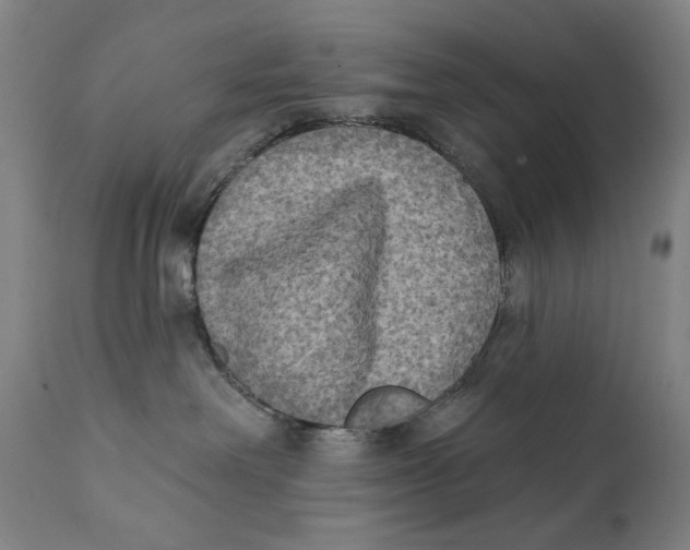 X0000111220238200907231448
