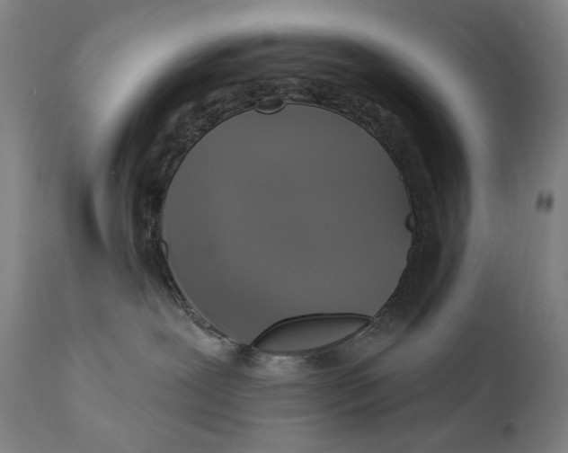 X0000111220239200907231448