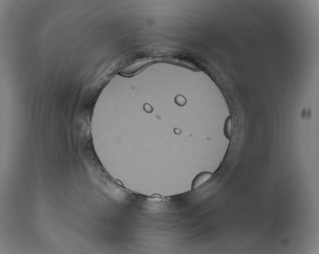 X0000111220240200907231448