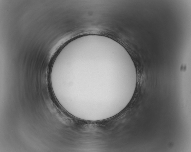 X0000111220244200907231447