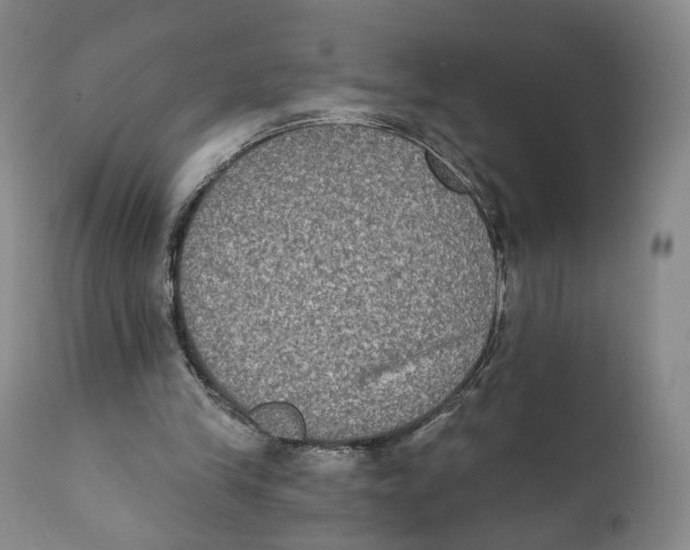 X0000111220245200907231447