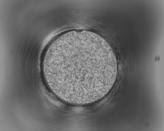 X0000111220246200907231447