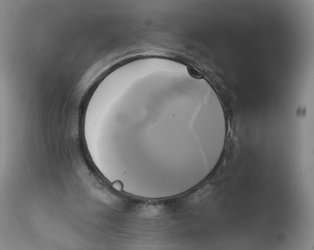 X0000111220247200907231447