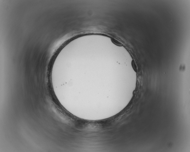 X0000111220248200907231447