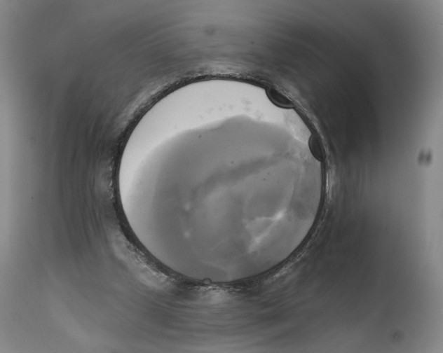 X0000111220249200907231447