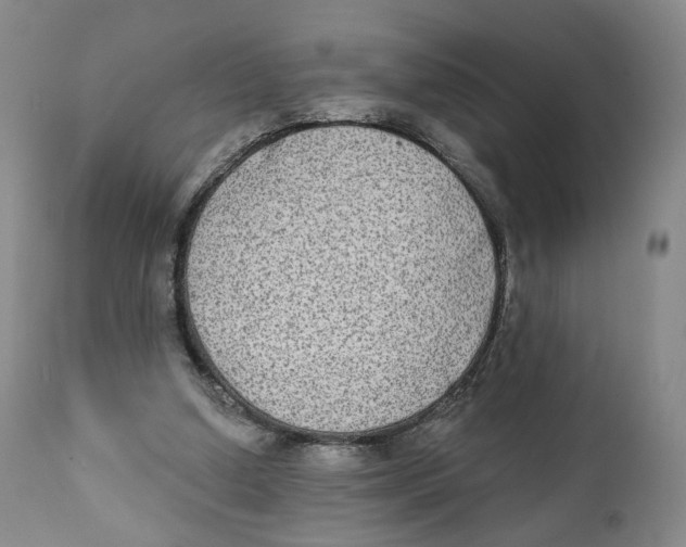 X0000111220250200907231447